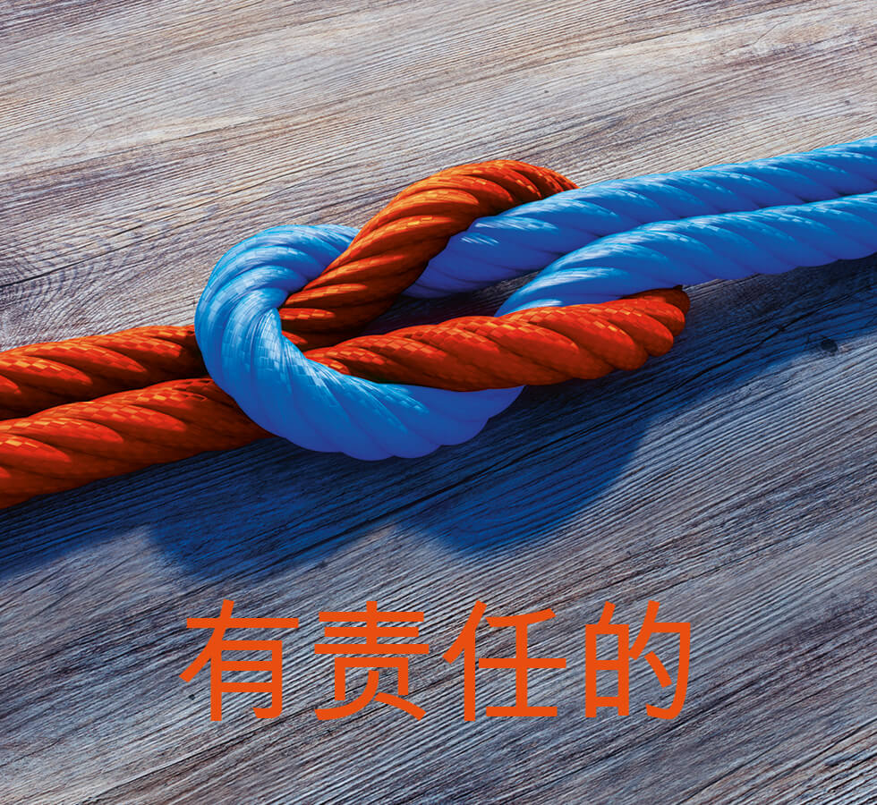 6.wert 980x900 Cn